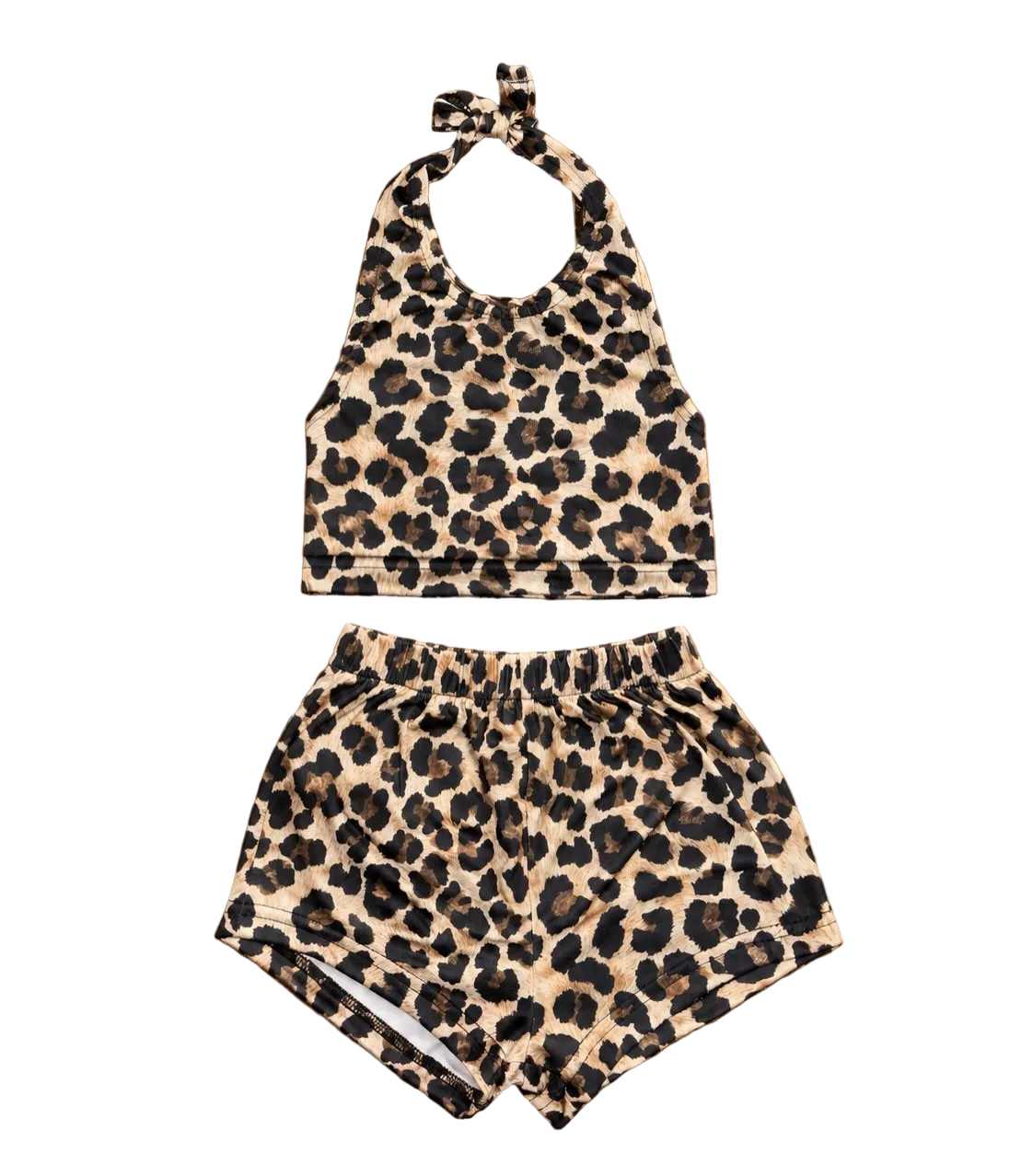 Cheetah Halter Set
